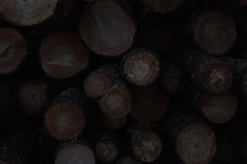 Stack of firewood. Dark atmosphere image of stacked firewood. 