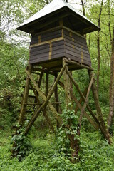 High seat tower for hunters in green forest with details. Single highseat in forest. Wooden hunter turret or lookout tower