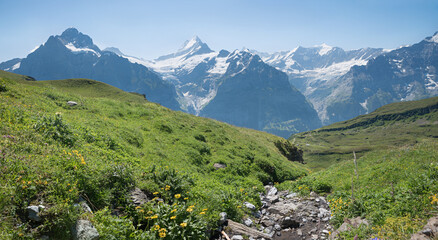 Fototapeta na wymiar mountain brook Milibach, Grindelwald First, summer landscape Bernese Oberland swiss alps