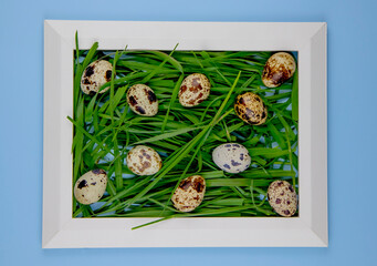 Top view of creative easter card in white frame with quail eggs and green grass on blue background.