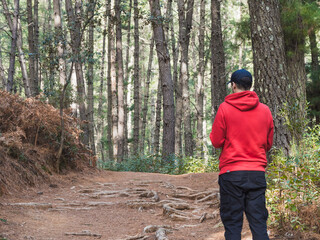 Man with cap and red sweatshirt walking on path in the forest