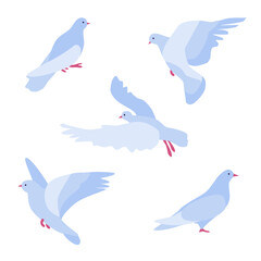 Set of five flat simplified abstract doves. Bird of peace for design cards and banners, peace symbol, pigeon different poses, stay and fly with open wings