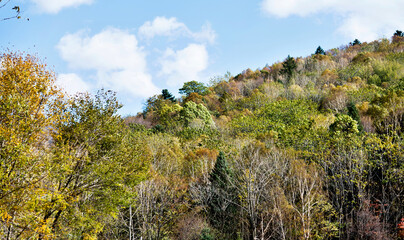 Autumn colorful mountain in China