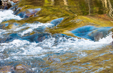 Moving wave of water reflection plants in the autumn