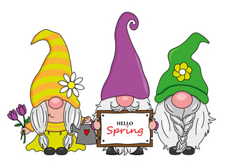 Cartoon three gnomes with flowers and hello spring sign