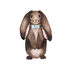 Watercolor brown bunny isolated on white background. Fauna farm rabbit hare animal spring Easter holiday illustration