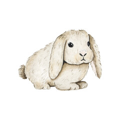 Watercolor white bunny isolated on white background. Fauna farm rabbit hare animal spring Easter holiday illustration