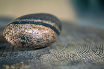 small granite round smooth two coloured rock or pebble on tree stump