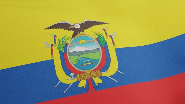 Flag Of Ecuador Images Browse 301 Stock Photos Vectors And Video Flag Of Ecuador Images Browse 301 Stock Photos Vectors And Video