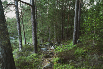 travel, tourism, escape © Image Source RF