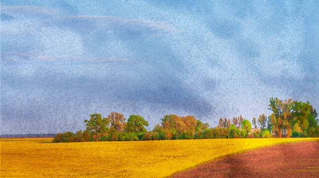 summer landscape cloudy sky over a yellow field with wheat in Ukraine, processing in the style of an oil painting
