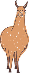 Alpaca or Lama Doodle Illustartion © Good Studio