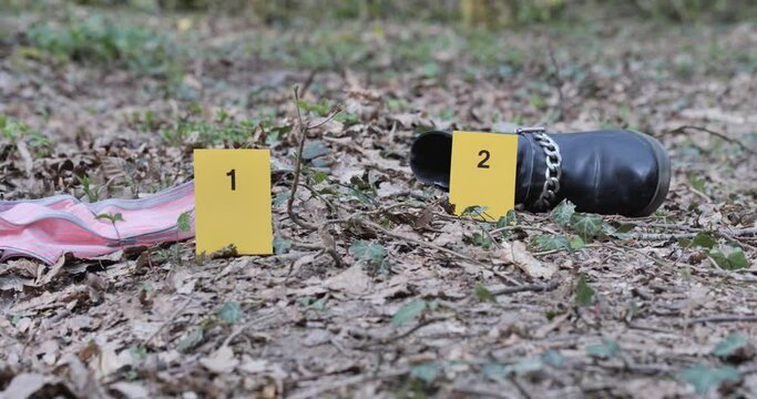 Sc&egrave;ne de crime