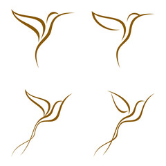 Hummingbird logo. Abstract concept, icon set. Vector illustration isolated on white background.