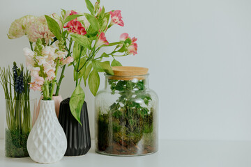 Flowers in small vases. Various small flowers to decorate your home in spring. Terrarium plants