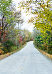Fototapeta premium Scenic road through autumn trees