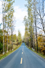 Scenic road through autumn trees