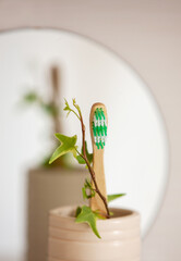 Bamboo natural toothbrush