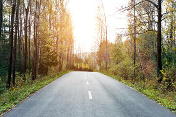 Scenic road through autumn trees