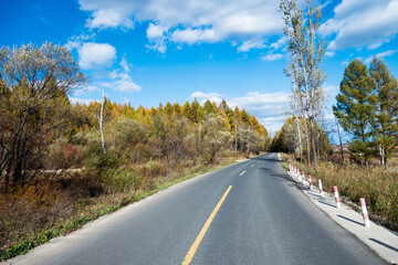 Fototapeta premium Scenic road through autumn trees