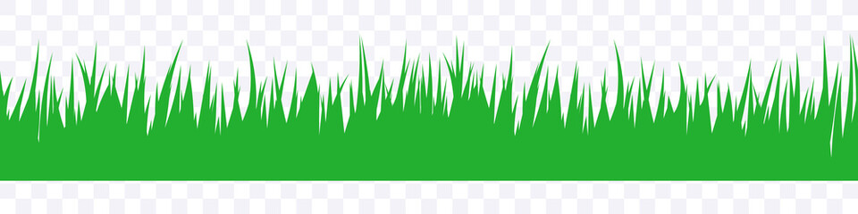 Grass seamless border. Seamless line green grass. Vector clipart isolated on white background. © graphic_arts