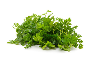 Bunch of green parsley.