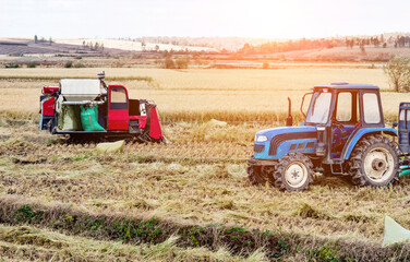 Harvester machine working in harvest rice field