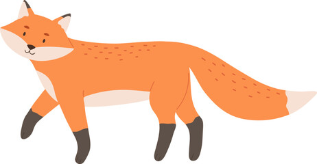 Cute Fox Childish Cartoon Illustration