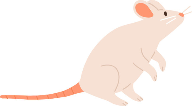 Cute Mouse or Rat Childish Cartoon Illustration