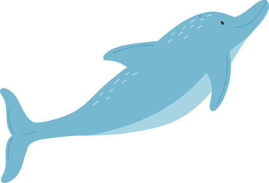 Cute Dolphin Childish Cartoon Illustration