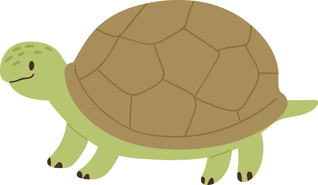 Cute Turtle Childish Cartoon Illustration