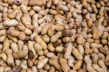 A pile of dried unpeeled brown nuts close up shot with selective focus