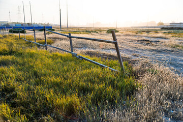 Obraz premium Fence in a rural area