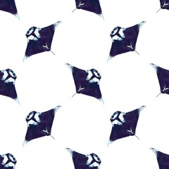 Watercolor seamless pattern. Manta on a white background. Sea stingray