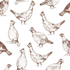 Hazel grouse. Vector   pattern
