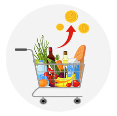 The rise in prices for products. grocery set, food basket.