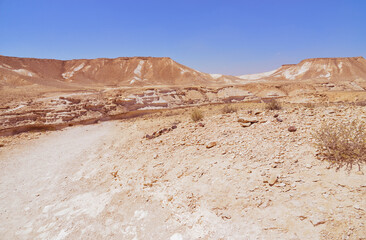 
beautiful desert landscape with canyon