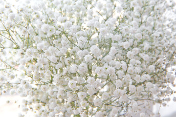 Bouquet of tender white gypsophila flowers as beautiful nature spring background. Close-up of fresh flowers. Bouquets of flowers on sale.