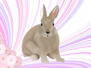 うさちと桜