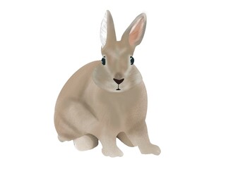 ウサギ単品白背景
