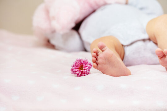 Little newborn baby girl lay in the crib with flower