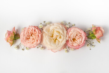 floral border of pink roses on a white background. Top view, flat lay
