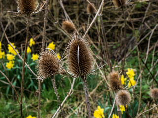 Obraz premium In The Park On A Sunny Day