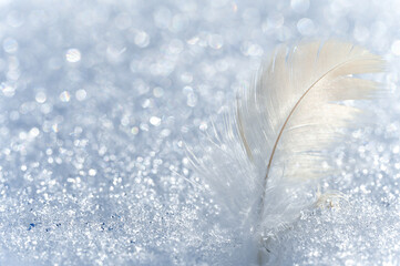 shiny blurred light natural background with delicate white feather. beautiful tender postcard with...