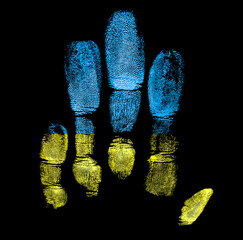 Fingerprints in colors of Ukraine flag, black background.