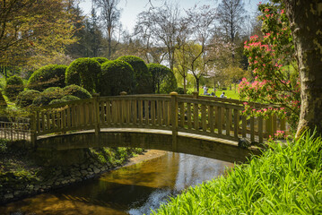 Fototapeta na wymiar beautiful wooden bridge in an oriental park