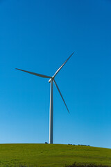 Fototapeta premium Wind Turbines Generate Electricity near Fairfield, California.