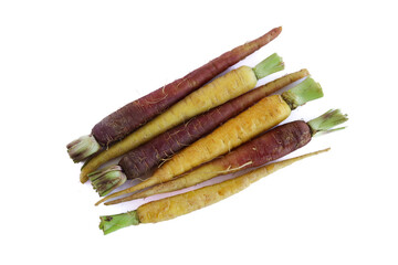 Baby carrots isolated on a white background. Yellow and red baby carrots. Organic Root vegetables 