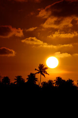 Obraz premium sunset in the desert