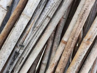 old wood texture